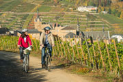 files/amsteinfelderhof/redaktion/Region/Ahr-Radweg180x120.jpg
