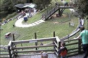 files/amsteinfelderhof/redaktion/Region/Sommerrodelbahn180x120.jpg