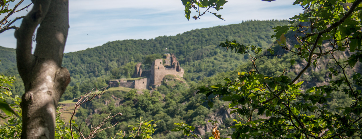 Burg Are1