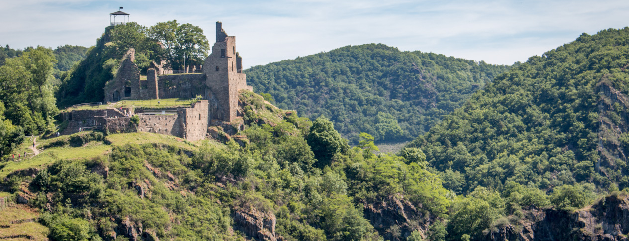 Burg Are4