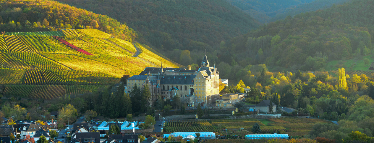 Herbst Kalveraienberg