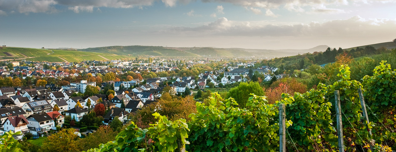 Sommer Weinberge Stadt